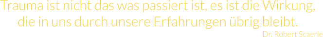 Trauma ist nicht das was passiert ist, es ist die Wirkung, die in uns durch unsere Erfahrungen übrig bleibt. Dr. Robert Scaerie