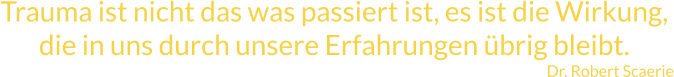 Trauma ist nicht das was passiert ist, es ist die Wirkung, die in uns durch unsere Erfahrungen übrig bleibt. Dr. Robert Scaerie