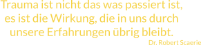 Trauma ist nicht das was passiert ist, es ist die Wirkung, die in uns durch unsere Erfahrungen übrig bleibt. Dr. Robert Scaerie