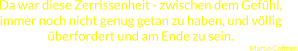 Da war diese Zerrissenheit - zwischen dem Gefühl, immer noch nicht genug getan zu haben, und völlig überfordert und am Ende zu sein. Marco Cohnen