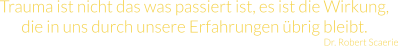 Trauma ist nicht das was passiert ist, es ist die Wirkung, die in uns durch unsere Erfahrungen übrig bleibt. Dr. Robert Scaerie