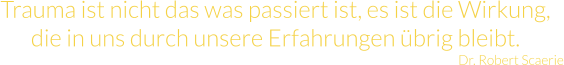 Trauma ist nicht das was passiert ist, es ist die Wirkung, die in uns durch unsere Erfahrungen übrig bleibt. Dr. Robert Scaerie