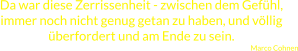 Da war diese Zerrissenheit - zwischen dem Gefühl, immer noch nicht genug getan zu haben, und völlig überfordert und am Ende zu sein. Marco Cohnen